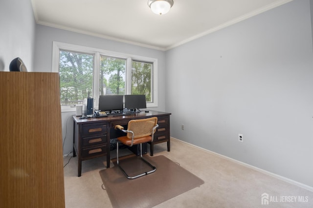 16 Darby Rd, East Brunswick, NJ 08816 - home office featuring crown molding, light colored carpet, and baseboards