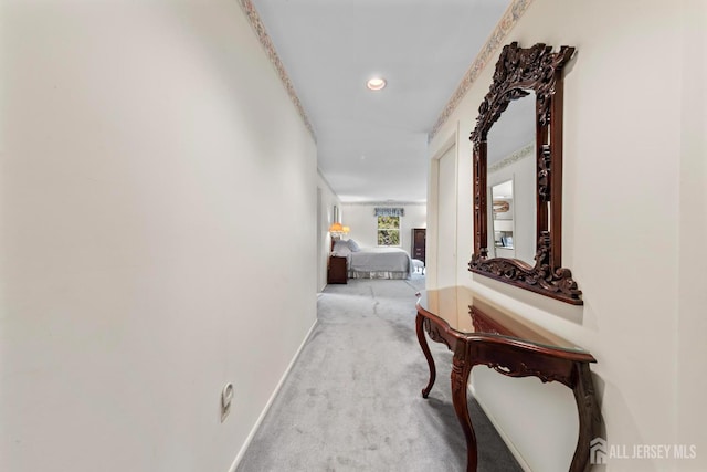 18 Mulberry Ln, Edison, NJ 08820 - photo 21