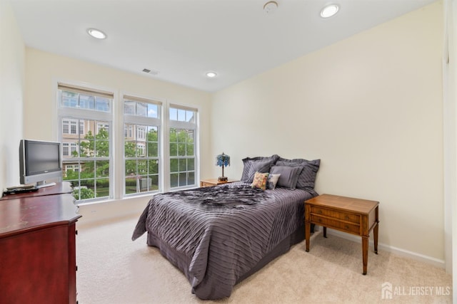 2206 Cedar Village Blvd, East Brunswick, NJ 08816 - bedroom with carpet floors and recessed lighting