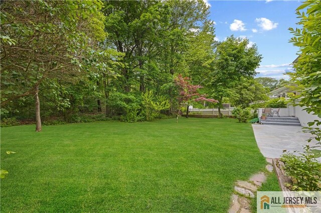 11 Amendola Dr, Netcong, NJ 07857 - view of grassy yard