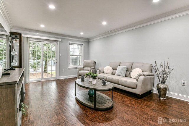 living room featuring crown molding and dark wood-type flooring