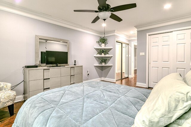 bedroom with dark hardwood / wood-style flooring, two closets, ceiling fan, and ornamental molding