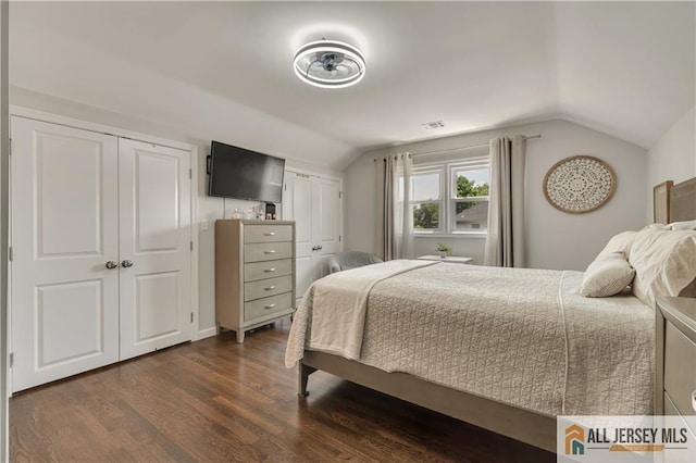 212 Freeman St, Woodbridge Proper, NJ 07095 - bedroom featuring multiple closets, lofted ceiling, and dark wood-type flooring