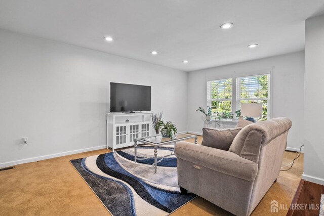 33 Hillsborough Dr, Monroe, NJ 08831 - photo 12