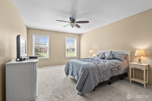33 Hillsborough Dr, Monroe, NJ 08831 - photo 19