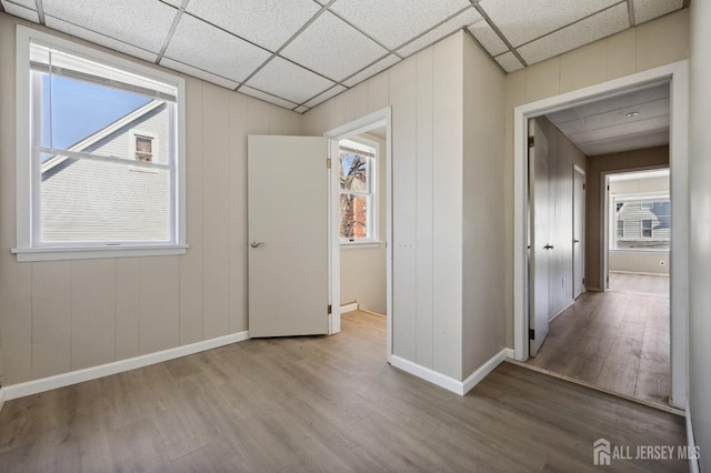 corridor featuring a paneled ceiling, a wealth of natural light, and wood finished floors