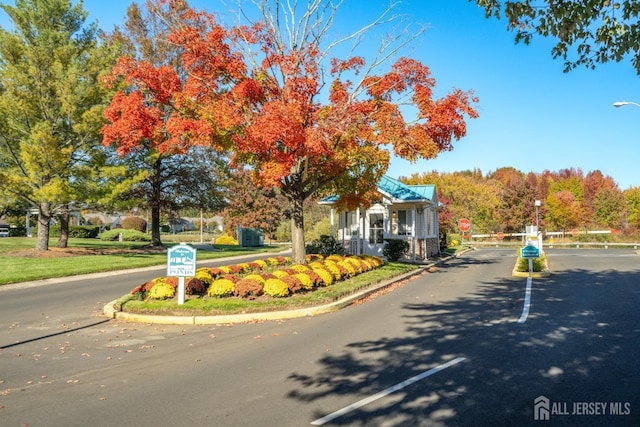 view of road featuring curbs, street lights, and traffic signs