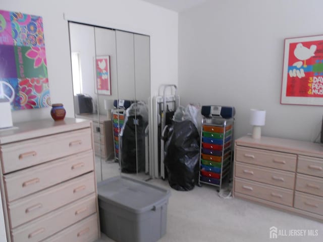 4222 N Bayberry Ct N, South Brunswick, NJ 08852 - bedroom with light colored carpet and a closet