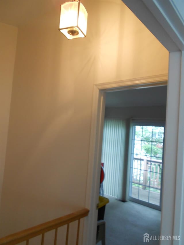 4222 N Bayberry Ct N, South Brunswick, NJ 08852 - stairs featuring carpet