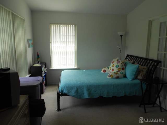 4222 N Bayberry Ct N, South Brunswick, NJ 08852 - view of carpeted bedroom