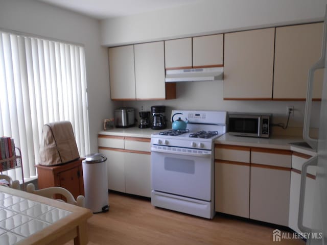 4222 N Bayberry Ct N, South Brunswick, NJ 08852 - kitchen featuring white appliances, under cabinet range hood, light countertops, and light wood-style flooring