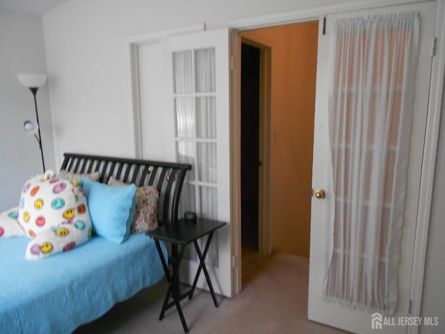 4222 N Bayberry Ct N, South Brunswick, NJ 08852 - bedroom with carpet floors