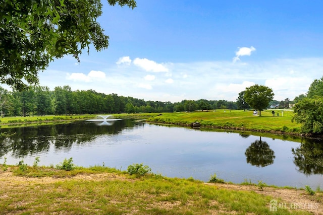 water view with a wooded view