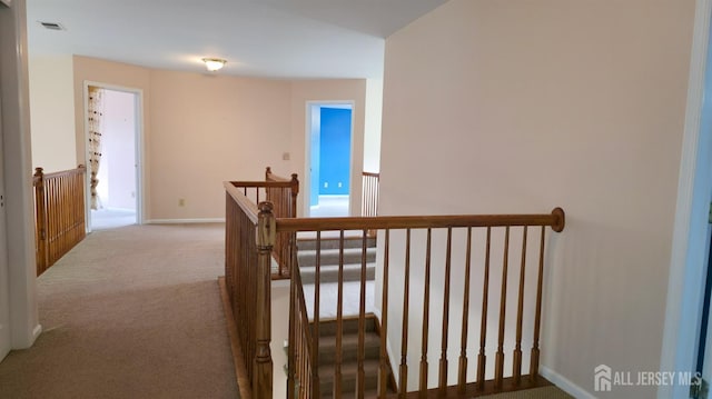16 Bodine Dr, Cranbury, NJ 08512 - photo 30