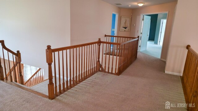 16 Bodine Dr, Cranbury, NJ 08512 - photo 31