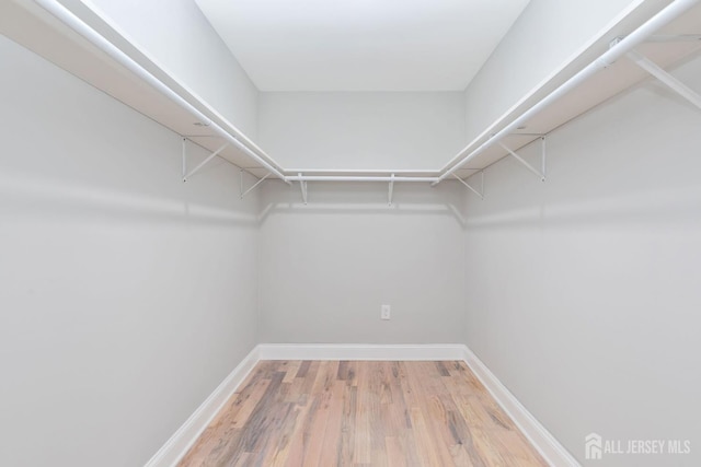 141 Day St, South Plainfield, NJ 07080 - walk in closet featuring light wood-style flooring
