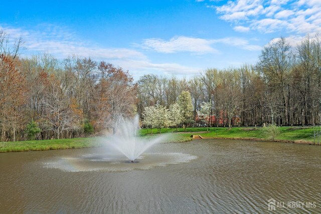 4 Sandra Ct Unit 2743, Old Bridge, NJ 08857 - water view