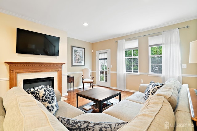 4 Sandra Ct Unit 2743, Old Bridge, NJ 08857 - living room featuring crown molding, wood finished floors, a high end fireplace, recessed lighting, and baseboards
