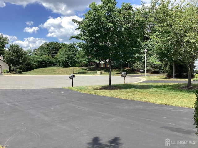 30 Martin Van Buren Dr, Monroe, NJ 08831 - photo 29