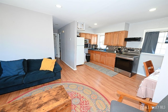 kitchen with stainless steel appliances, under cabinet range hood, a sink, light wood-type flooring, and tasteful backsplash