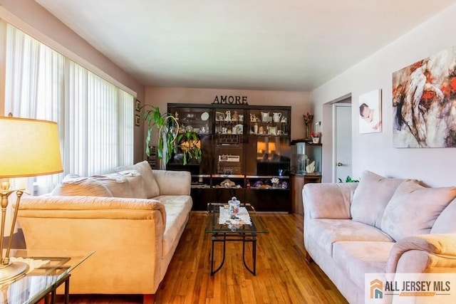 1 Berkley Blvd, Iselin, NJ 08830 - living room with hardwood / wood-style flooring