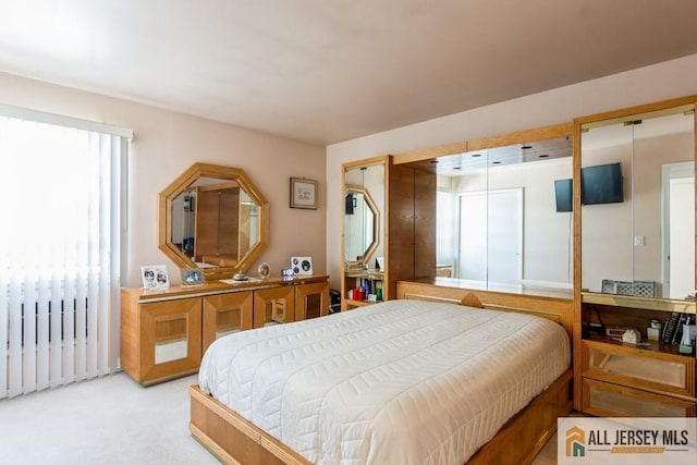 1 Berkley Blvd, Iselin, NJ 08830 - bedroom featuring light colored carpet
