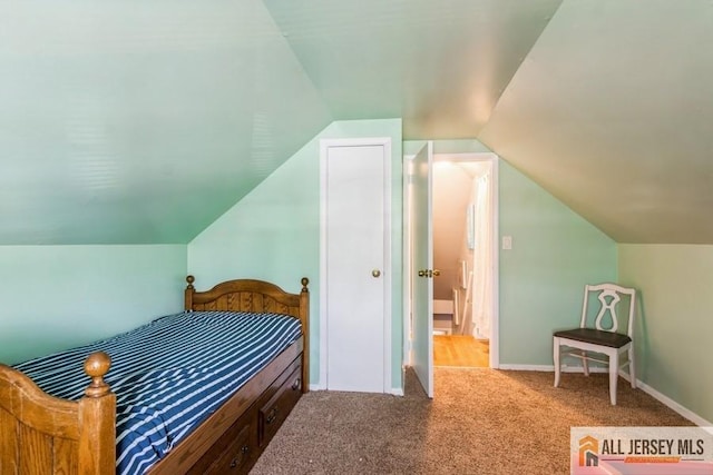 1 Berkley Blvd, Iselin, NJ 08830 - bedroom featuring vaulted ceiling, carpet floors, and baseboards