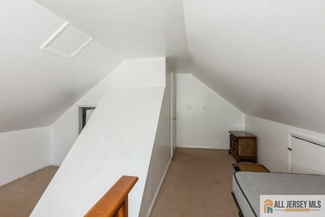 1 Berkley Blvd, Iselin, NJ 08830 - bonus room with carpet floors and vaulted ceiling