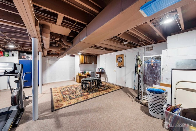 66 Riverbend Dr, North Brunswick, NJ 08902 - unfinished below grade area with carpet flooring