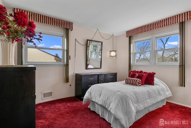 3 Hansen Rd, Old Bridge, NJ 08857 - bedroom with multiple windows and dark carpet