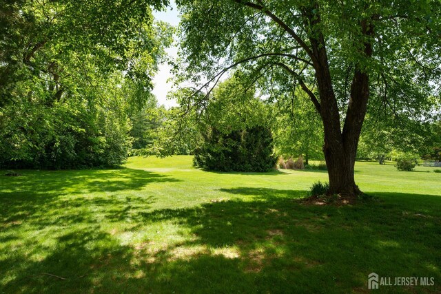 132 Fairfield Rd, South Brunswick, NJ 08540 - photo 21