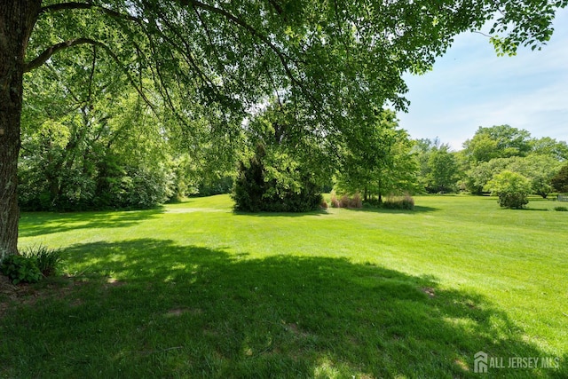 132 Fairfield Rd, South Brunswick, NJ 08540 - photo 22