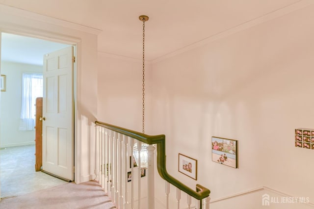 17-D Old Nassau Rd, Monroe, NJ 08831 - photo 12