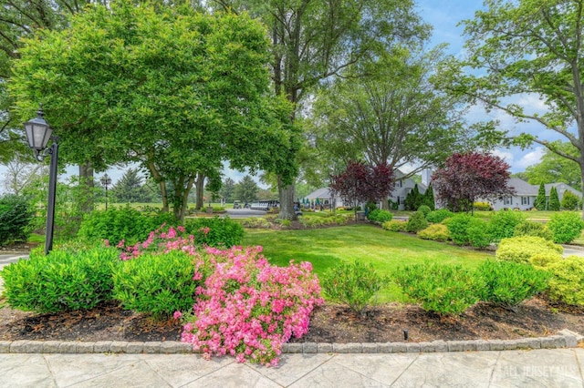 17-D Old Nassau Rd, Monroe, NJ 08831 - photo 39
