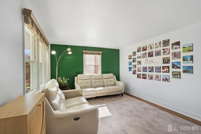 living area featuring baseboards and wood finished floors