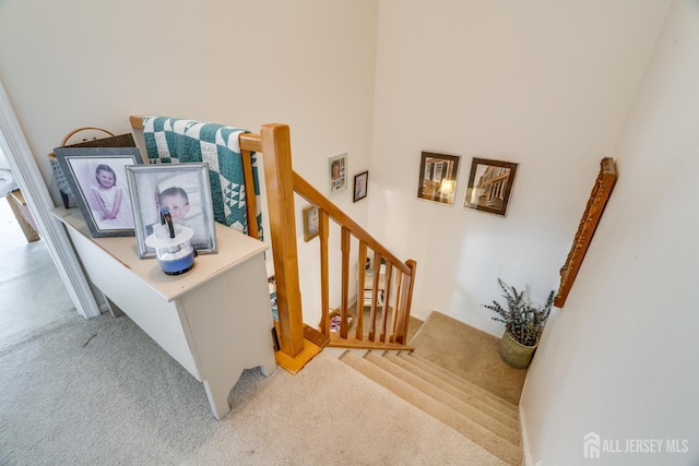 43 Nottingham Way, Franklin, NJ 08873 - stairs with carpet floors