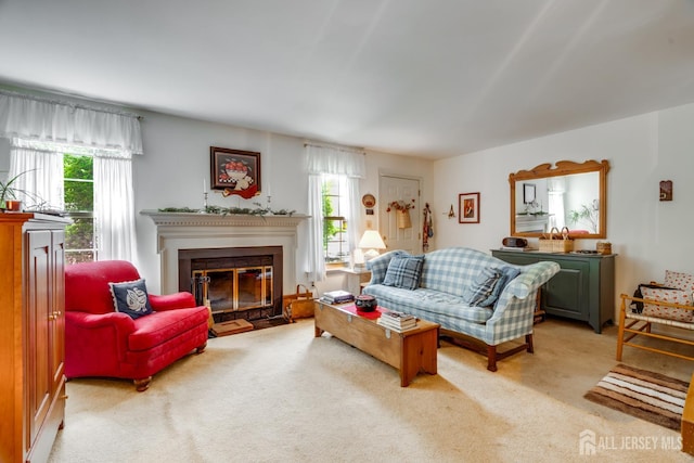 43 Nottingham Way, Franklin, NJ 08873 - living room featuring healthy amount of natural light, carpet flooring, and a fireplace with flush hearth