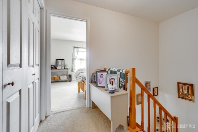 43 Nottingham Way, Franklin, NJ 08873 - corridor with light carpet and an upstairs landing