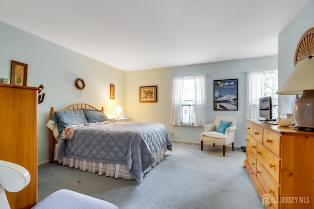 43 Nottingham Way, Franklin, NJ 08873 - bedroom with light carpet