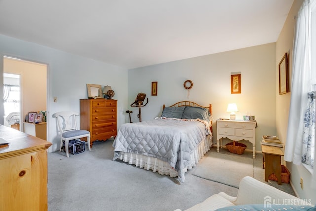 43 Nottingham Way, Franklin, NJ 08873 - view of carpeted bedroom