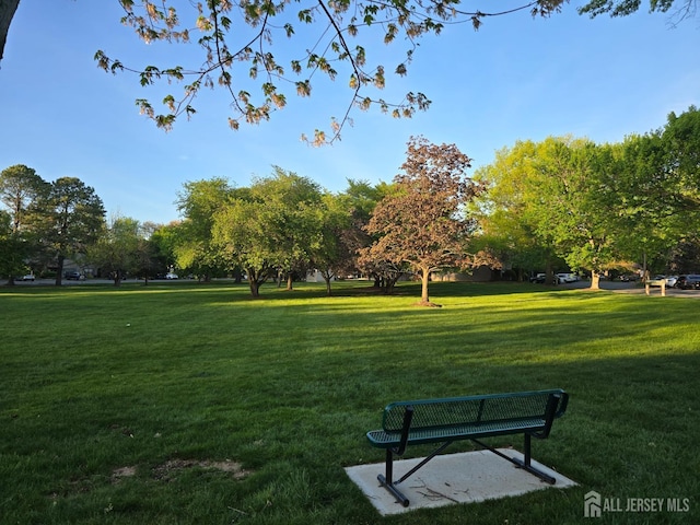 view of home's community with a lawn