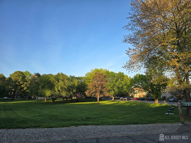 surrounding community featuring a yard
