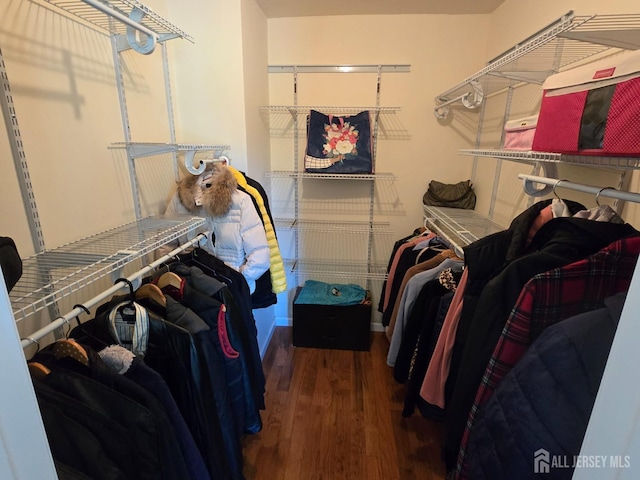 walk in closet with wood finished floors