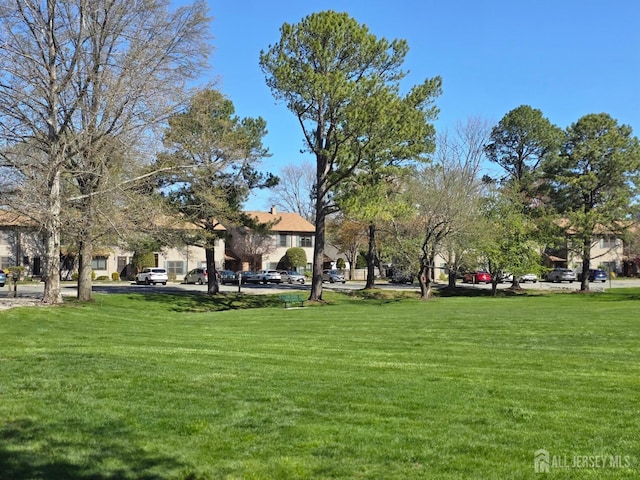 view of property's community with a yard