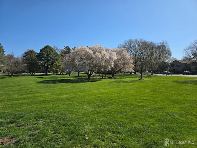view of home's community featuring a lawn