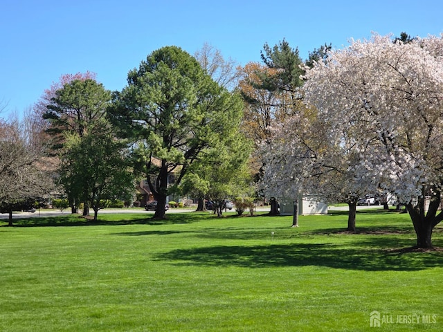 surrounding community featuring a lawn
