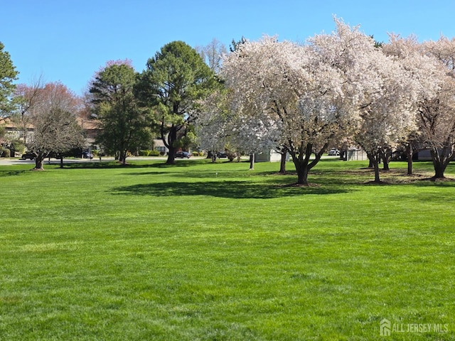 view of community with a lawn