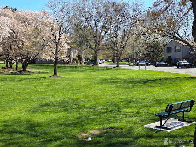 surrounding community featuring a yard