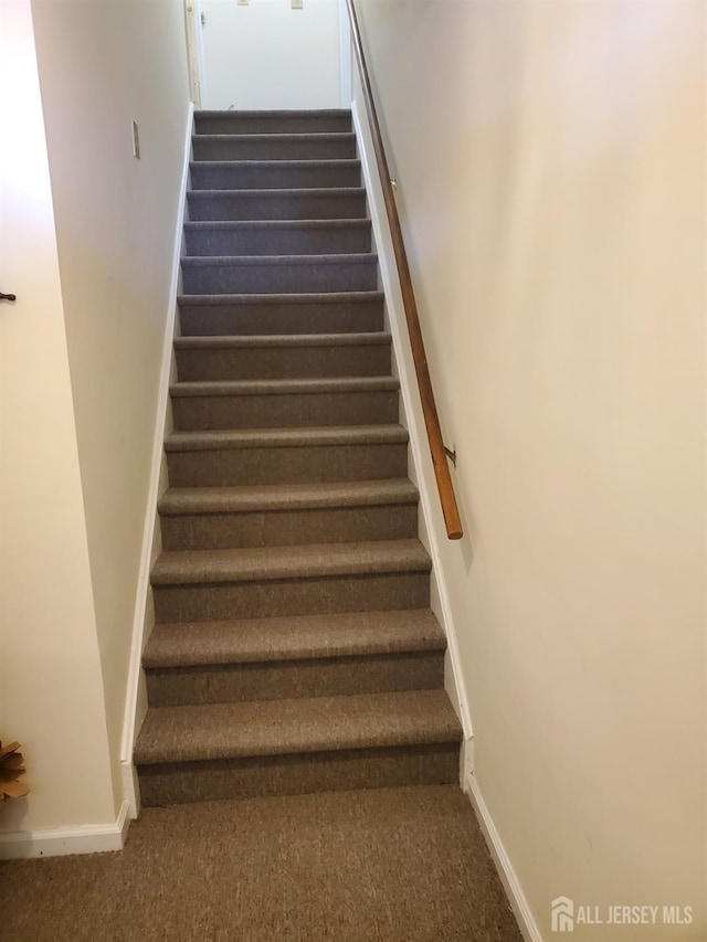 staircase with carpet flooring