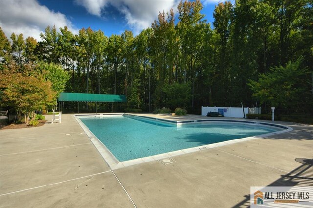 view of pool with a patio area